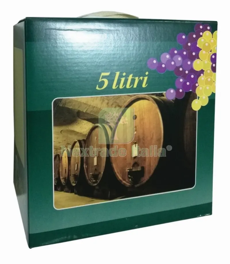 20PZ CARTONE COLORATO CON MANICO PER SACCA BAG 5 L — Casalinghi e organizzazione — rif. FERX.58735
