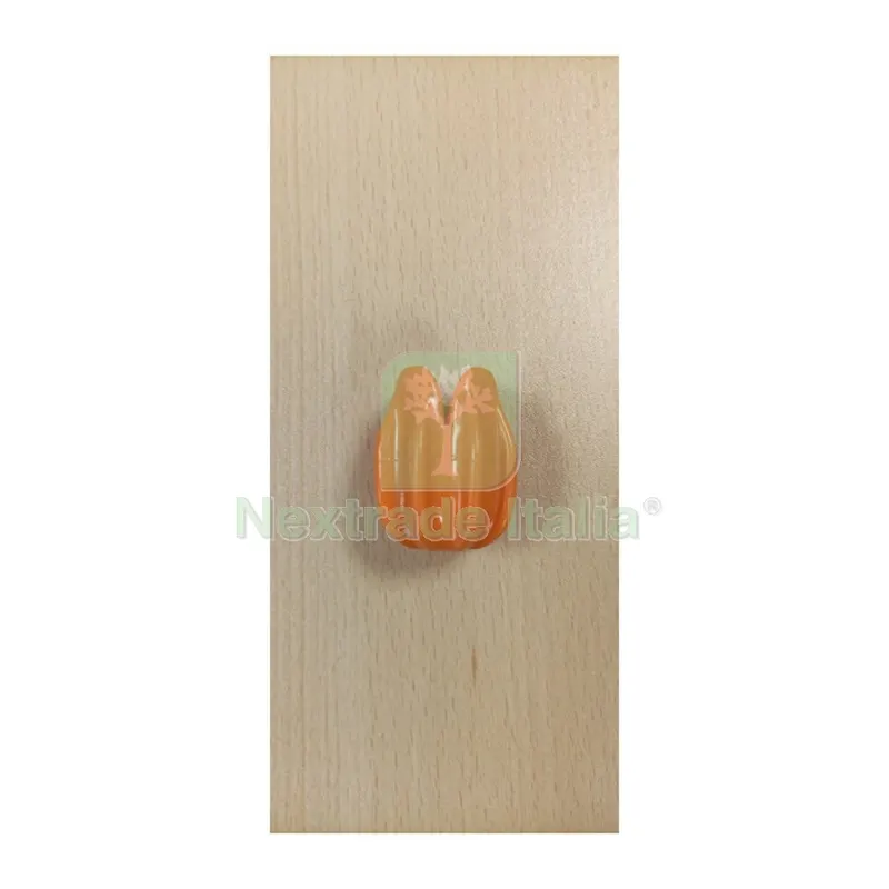 ZZ-Piedino Arancio x Asse da Stiro Framar Stira Light 105X33 CM — Stendibiancheria e bucato — rif. FERX.603771 ZZ-Piedino Arancio x Asse da Stiro Framar Stira Light 105X33 CM — Stendibiancheria e bucato — rif. FERX.603771