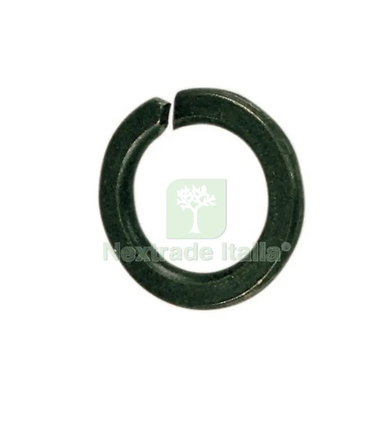 5SCATOLE SC RONDELLE GROWER MM. 6 (PZ.100) — Bulloni, dadi e rondelle — rif. FERX.60869 5SCATOLE SC RONDELLE GROWER MM. 6 (PZ.100) — Bulloni, dadi e rondelle — rif. FERX.60869