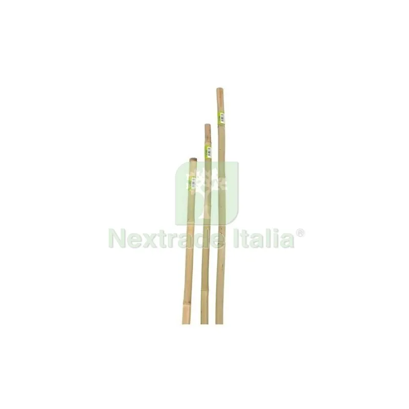 CANNA IN BAMBOO D.22-24 H.180 — Reti e recinzioni — rif. FERX.638238