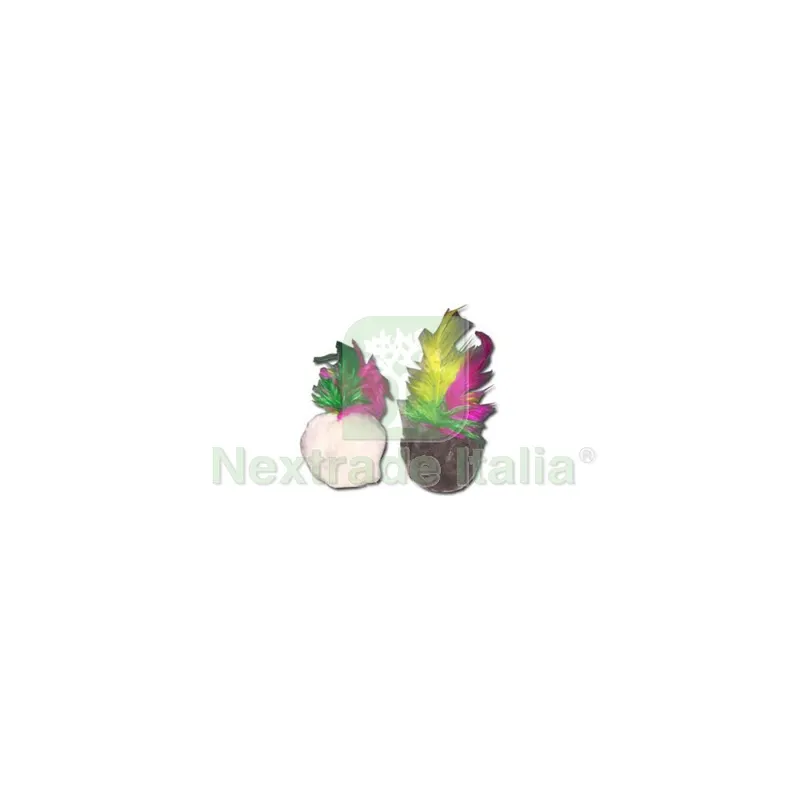 Zoov Set 2 Palline in Peluche con Suono — Arredo giardino — rif. FERX.657927 Zoov Set 2 Palline in Peluche con Suono — Arredo giardino — rif. FERX.657927