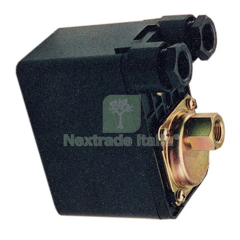 3PL PL PRESSOSTATO PER AUTOCLAVE 1-5 BAR F1/4 — Pompe — rif. FERX.67468 3PL PL PRESSOSTATO PER AUTOCLAVE 1-5 BAR F1/4 — Pompe — rif. FERX.67468