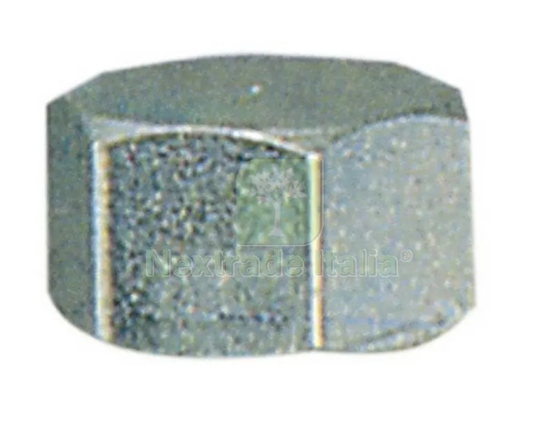 6PL PL IDR. CALOTTA FEMMINA ART. 300 GR.1/2 — Tubi e raccordi — rif. FERX.67734 6PL PL IDR. CALOTTA FEMMINA ART. 300 GR.1/2 — Tubi e raccordi — rif. FERX.67734