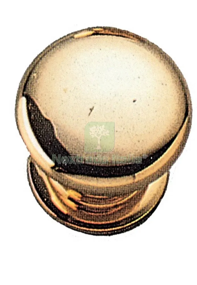 6BLISTER Blister Pomoli ART. P0313 Oro Lucido Misura a 30 MM (PZ.2) — Maniglie e pomelli — rif. FERX.69480 6BLISTER Blister Pomoli ART. P0313 Oro Lucido Misura a 30 MM (PZ.2) — Maniglie e pomelli — rif. FERX.69480