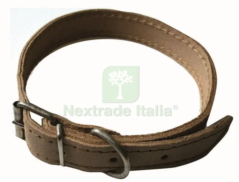 6PL PL Collare in Pelle per Cani Larghezza MM.15 — Fascette e collari — rif. FERX.72595