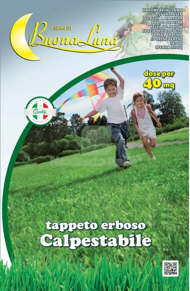 SEMI PRATO CALPESTABILE 1 KG — Irrigazione — rif. FERX.74497 SEMI PRATO CALPESTABILE 1 KG — Irrigazione — rif. FERX.74497
