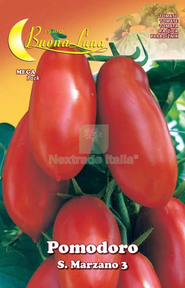 10PZ SEMI ORTO POMODORO SAN MARZANO — Protezione piante e sementi — rif. FERX.74529 10PZ SEMI ORTO POMODORO SAN MARZANO — Protezione piante e sementi — rif. FERX.74529
