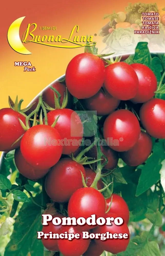10PZ SEMI ORTO POMODORO CILIEGINO — Protezione piante e sementi — rif. FERX.74551 10PZ SEMI ORTO POMODORO CILIEGINO — Protezione piante e sementi — rif. FERX.74551