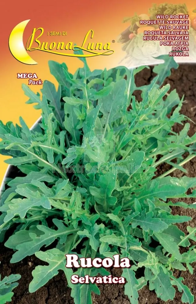 10PZ SEMI ORTO RUCOLA SELVATICA — Protezione piante e sementi — rif. FERX.74755