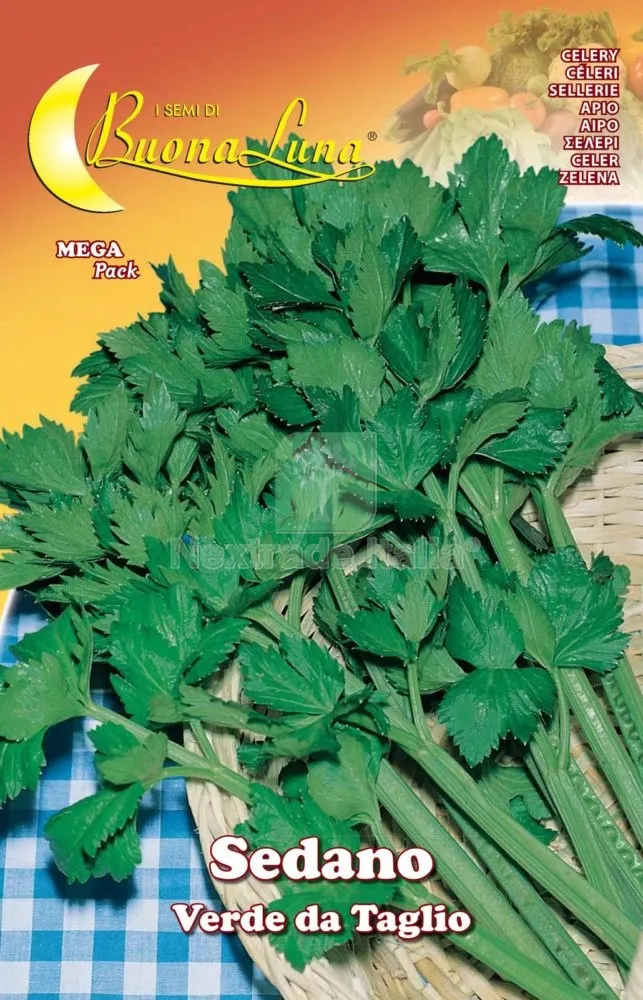 10PZ SEMI ORTO SEDANO VERDE DA TAGLIO — Protezione piante e sementi — rif. FERX.74768 10PZ SEMI ORTO SEDANO VERDE DA TAGLIO — Protezione piante e sementi — rif. FERX.74768