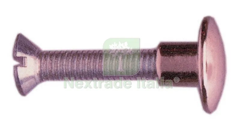 250PZ Vite per Sedia 30 MM Borchia Ottone Nichelato — Arredo — rif. FERX.7578 250PZ Vite per Sedia 30 MM Borchia Ottone Nichelato — Arredo — rif. FERX.7578