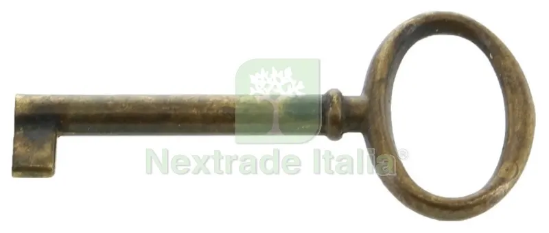 5BLISTER BLISTER CHIAVE ANTICATA 33706 MM.34X72 OTTONE ANTICO — Ferramenta per legno e mobili — rif. FERX.76088 5BLISTER BLISTER CHIAVE ANTICATA 33706 MM.34X72 OTTONE ANTICO — Ferramenta per legno e mobili — rif. FERX.76088