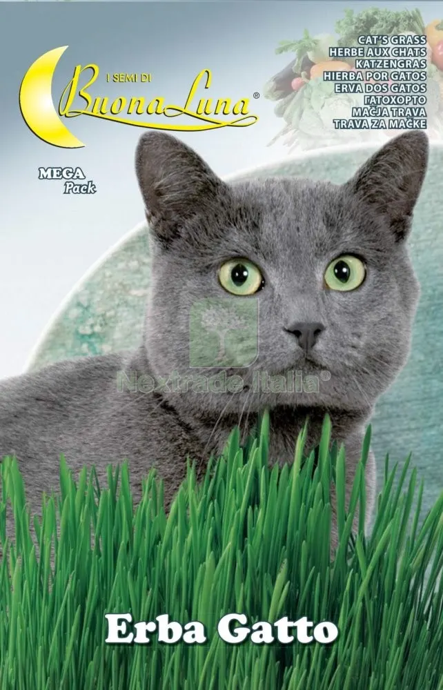 10PZ SEMI ORTO ERBA GATTO — Protezione piante e sementi — rif. FERX.76435