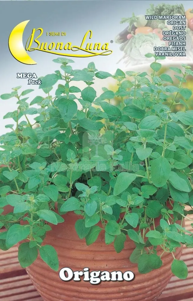 10PZ SEMI ORTO ORIGANO — Protezione piante e sementi — rif. FERX.76485