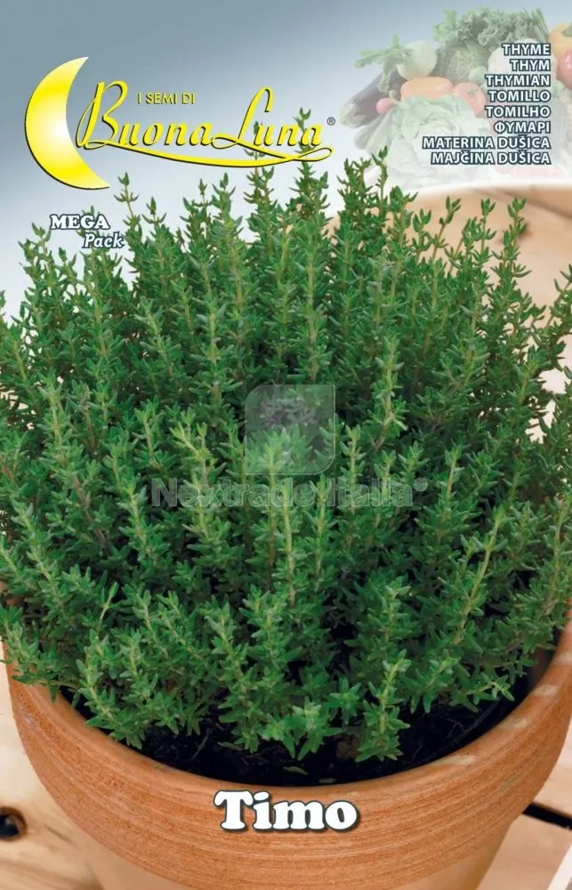 10PZ Semi Orto Timo — Protezione piante e sementi — rif. FERX.76501
