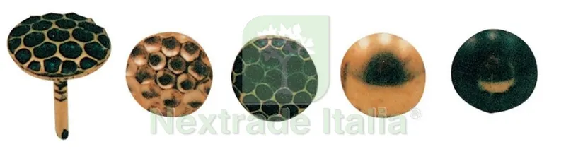 5SCATOLE SC BULLETTE LISCE 10 MM OTTONATE 50 PZ — Chiodi e graffe — rif. FERX.82977 5SCATOLE SC BULLETTE LISCE 10 MM OTTONATE 50 PZ — Chiodi e graffe — rif. FERX.82977