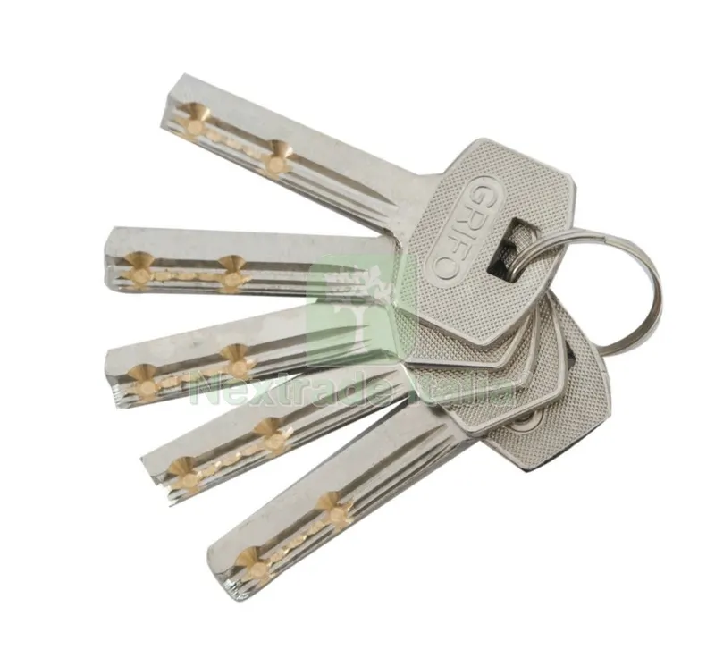 10PZ CHIAVE TIPO DOM PER LUCCHETTO GRIFO CORAZZATO — Lucchetti e catene — rif. FERX.8419