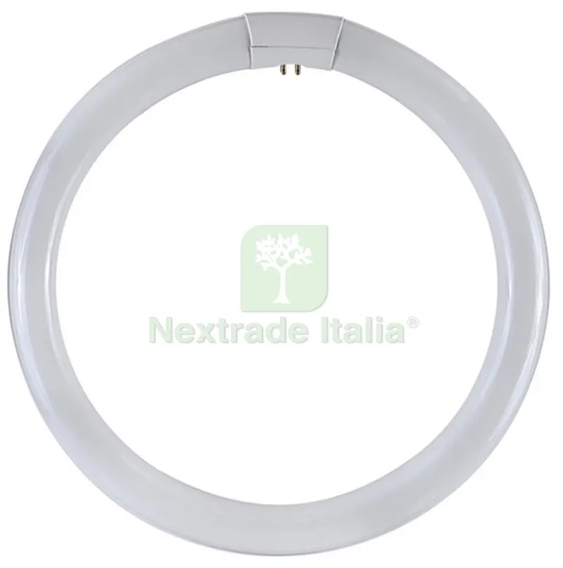 12PZ Circoline Fluo Trifosfori W32 — Illuminazione — rif. FERX.86486 12PZ Circoline Fluo Trifosfori W32 — Illuminazione — rif. FERX.86486