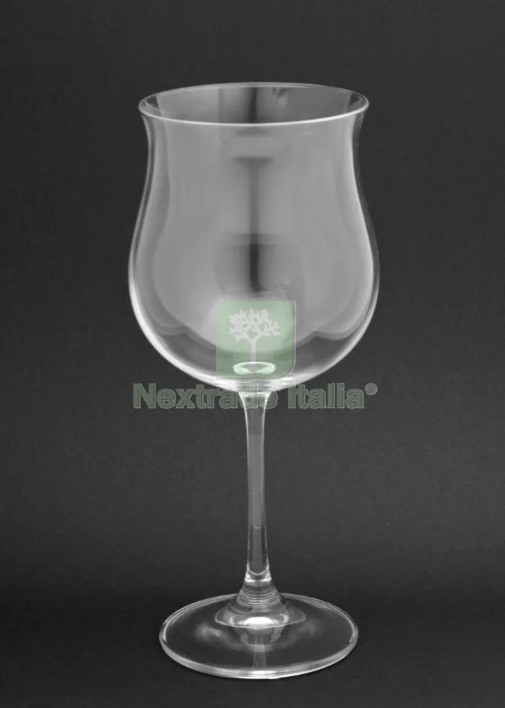 6PZ Bicchieri Boemia Vino Rosso — Scarichi e sifoni — rif. FERX.89976