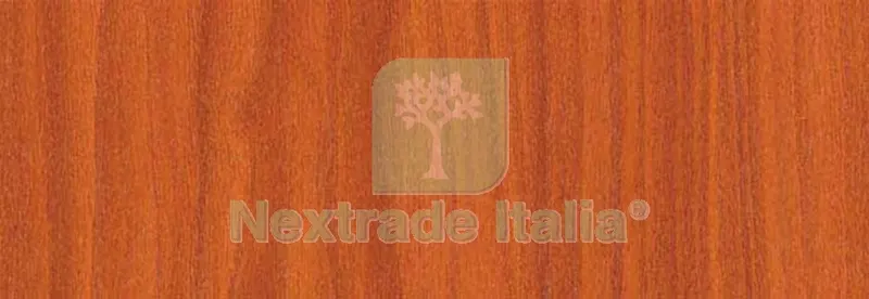 6RT RT Plastica Adesiva 280.2445 MT.2,5 — Adesivi e sigillanti — rif. FERX.91850