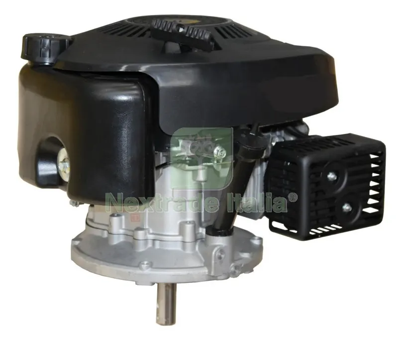 Motore x Tosaerba DY191-135SM-2 MOD.DY 1P64F — Attrezzi da giardino a motore — rif. FERX.92032