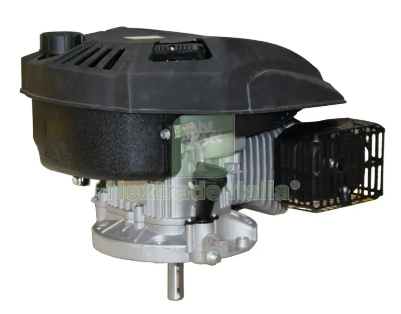 Motore per Tosaerba DY211-200SM-2 MOD.DY 1P70F — Attrezzi da giardino a motore — rif. FERX.92033