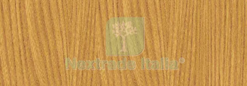 6RT RT Plastica Adesiva 280.1604 MT.2,5 — Adesivi e sigillanti — rif. FERX.92058