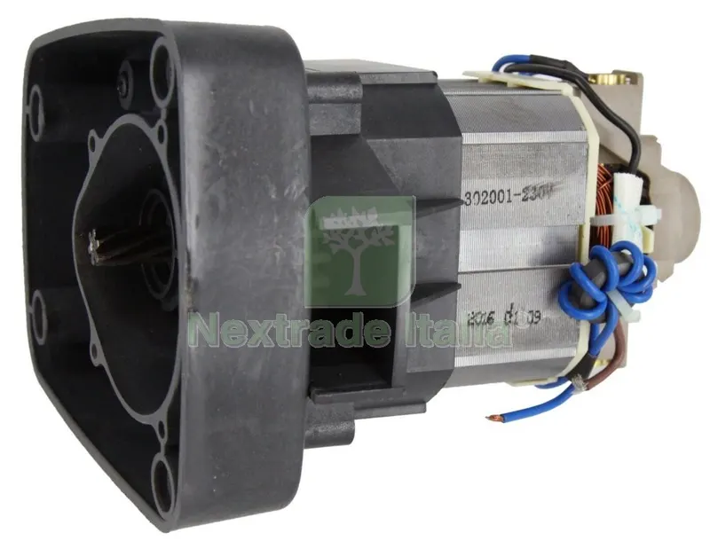 Motore per Tosaerba W.1000 QT3021 — Attrezzi da giardino a motore — rif. FERX.92260