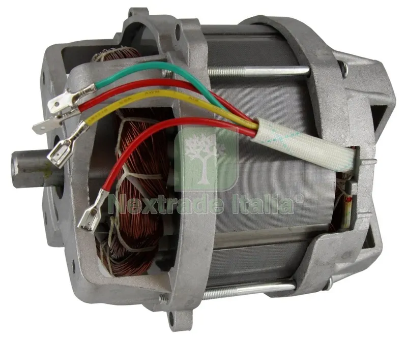 Motore per Tosaerba W.1400 QT3030 — Attrezzi da giardino a motore — rif. FERX.92261