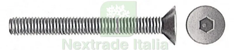 200PZ Viti Testa Svasata Piana Brunite Esagonale Incassato 6X30 — Viti — rif. FERX.925 200PZ Viti Testa Svasata Piana Brunite Esagonale Incassato 6X30 — Viti — rif. FERX.925