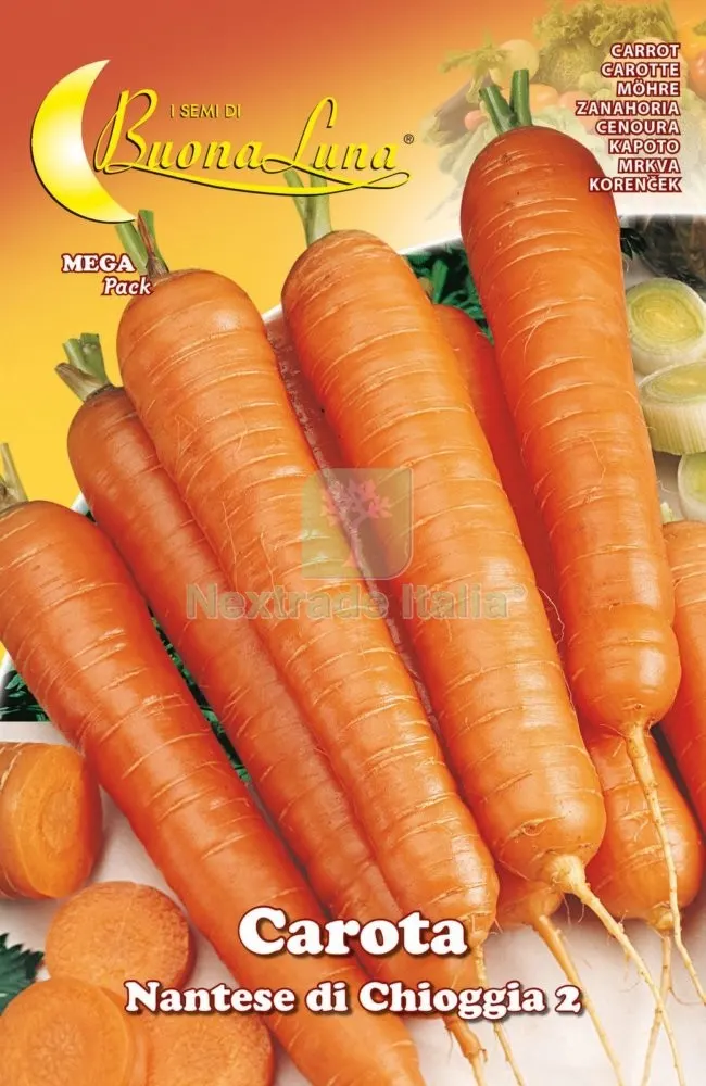 10PZ SEMI ORTO CAROTA DI CHIOGGIA — Protezione piante e sementi — rif. FERX.92526 10PZ SEMI ORTO CAROTA DI CHIOGGIA — Protezione piante e sementi — rif. FERX.92526