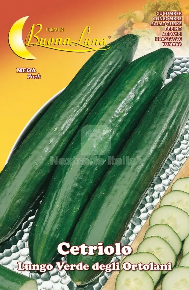 10PZ SEMI ORTO CETRIOLO VERDE — Protezione piante e sementi — rif. FERX.92527 10PZ SEMI ORTO CETRIOLO VERDE — Protezione piante e sementi — rif. FERX.92527