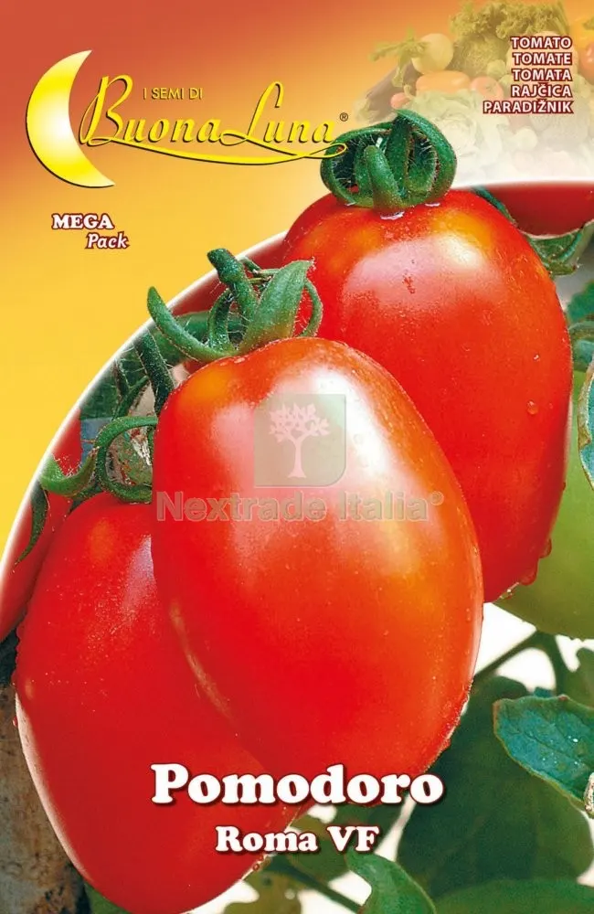 10PZ SEMI ORTO POMODORO ROMA — Protezione piante e sementi — rif. FERX.92531 10PZ SEMI ORTO POMODORO ROMA — Protezione piante e sementi — rif. FERX.92531