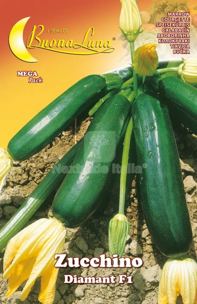 10PZ Semi Orto Zucchino Diamant — Protezione piante e sementi — rif. FERX.92540