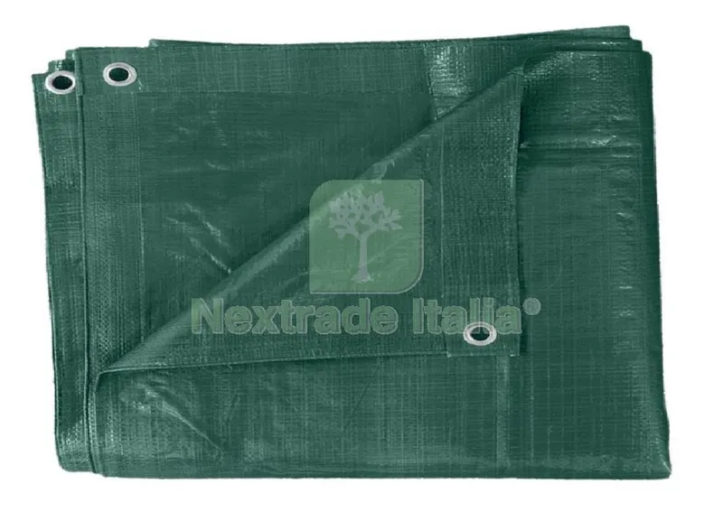 2PZ TELONE PE PESANTE CON OCCHIOLI VERDE MT 6X8 MQ.110 — Teli e teloni — rif. FERX.92643 2PZ TELONE PE PESANTE CON OCCHIOLI VERDE MT 6X8 MQ.110 — Teli e teloni — rif. FERX.92643