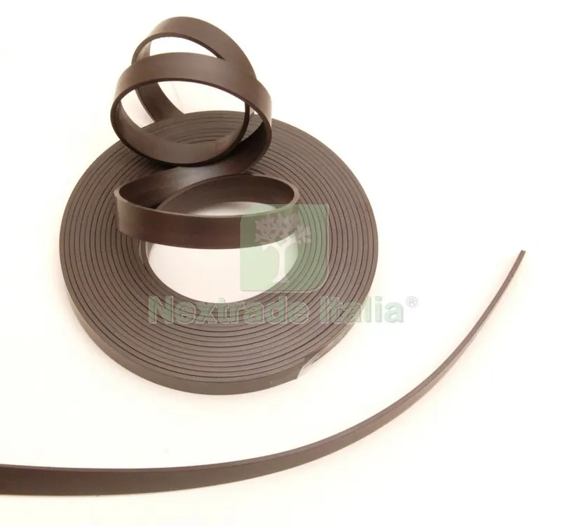 10PZ Nastro Calamita 12X2 MM 5 M Senza Biadesivo — Adesivi e sigillanti — rif. FERX.92720