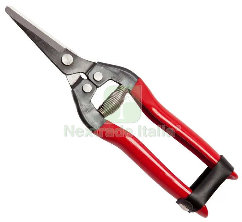 Forbici Falci per UVA Lame Dritte 19 CM — Misurazione e taglio manuale — rif. FERX.93451 Forbici Falci per UVA Lame Dritte 19 CM — Misurazione e taglio manuale — rif. FERX.93451