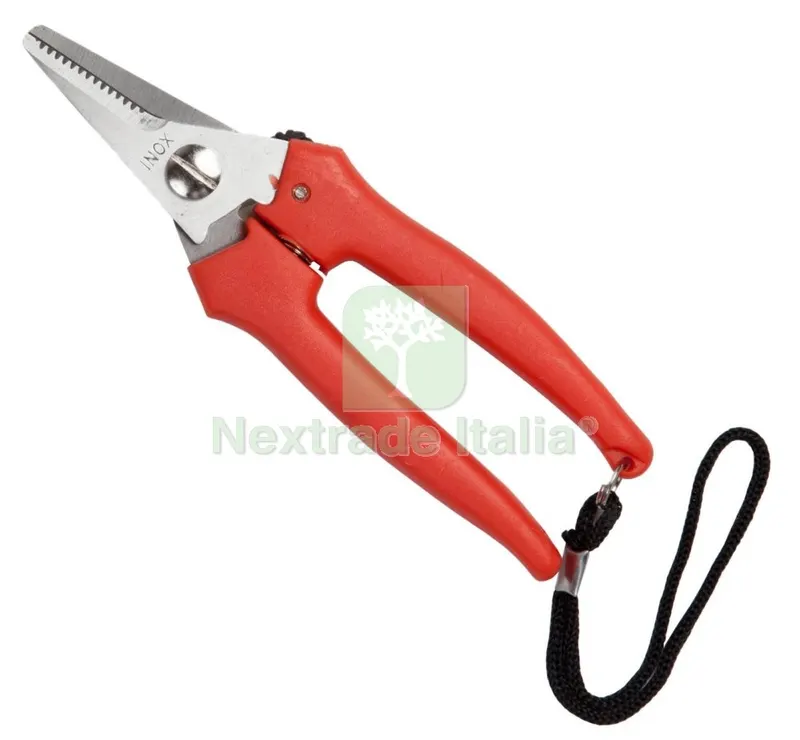 Forbici Falci per UVA Inox 16 CM — Misurazione e taglio manuale — rif. FERX.93452 Forbici Falci per UVA Inox 16 CM — Misurazione e taglio manuale — rif. FERX.93452