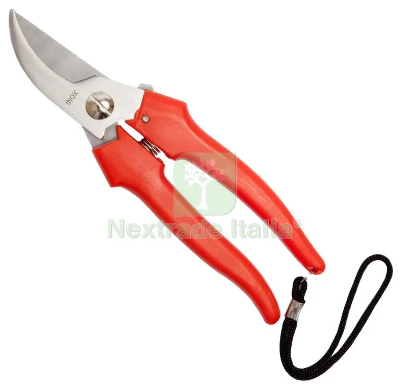 Forbici Falci per UVA Inox 19 CM — Misurazione e taglio manuale — rif. FERX.93453 Forbici Falci per UVA Inox 19 CM — Misurazione e taglio manuale — rif. FERX.93453
