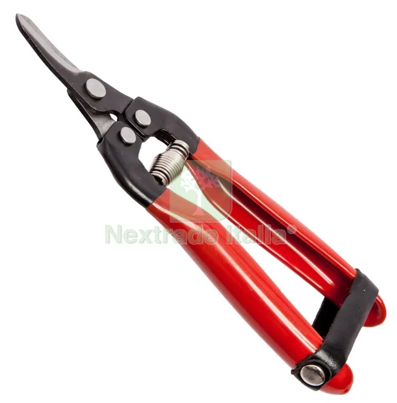 FORBICI FALCI PER UVA LAME CURVE 19 CM — Misurazione e taglio manuale — rif. FERX.93585 FORBICI FALCI PER UVA LAME CURVE 19 CM — Misurazione e taglio manuale — rif. FERX.93585