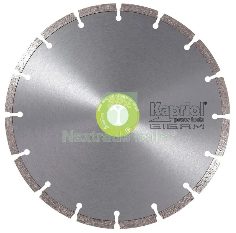 KAPRIOL DISCO DIAMANTATO A SETTORI MM 115 GRANITO MARMO ECC — Punte, frese e dischi — rif. FERX.95964 KAPRIOL DISCO DIAMANTATO A SETTORI MM 115 GRANITO MARMO ECC — Punte, frese e dischi — rif. FERX.95964