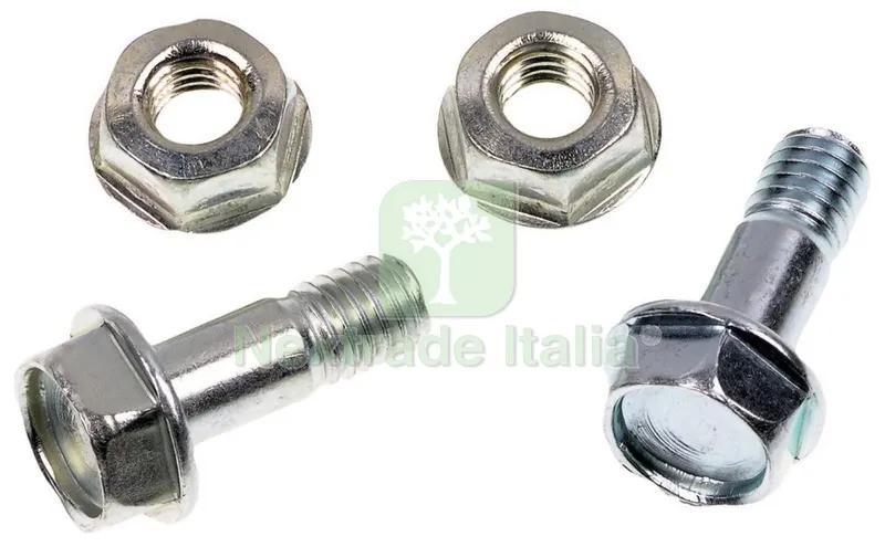 B AhCO Bulloni Dadi di Ricambio x Troncarami P160 — Attrezzi da giardino — rif. FERX.98269 B AhCO Bulloni Dadi di Ricambio x Troncarami P160 — Attrezzi da giardino — rif. FERX.98269