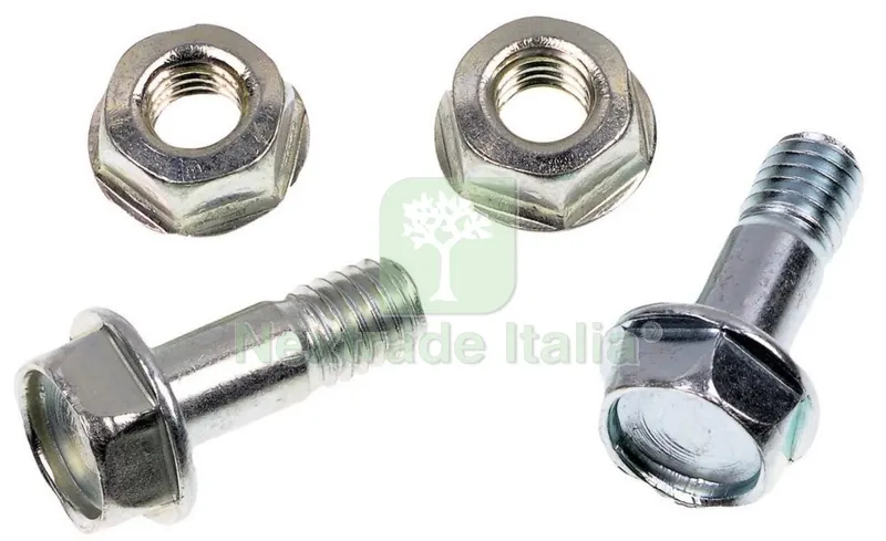 B AhCO Bulloni e Dadi x Troncarami P173-SL-85 — Attrezzi da giardino — rif. FERX.98273