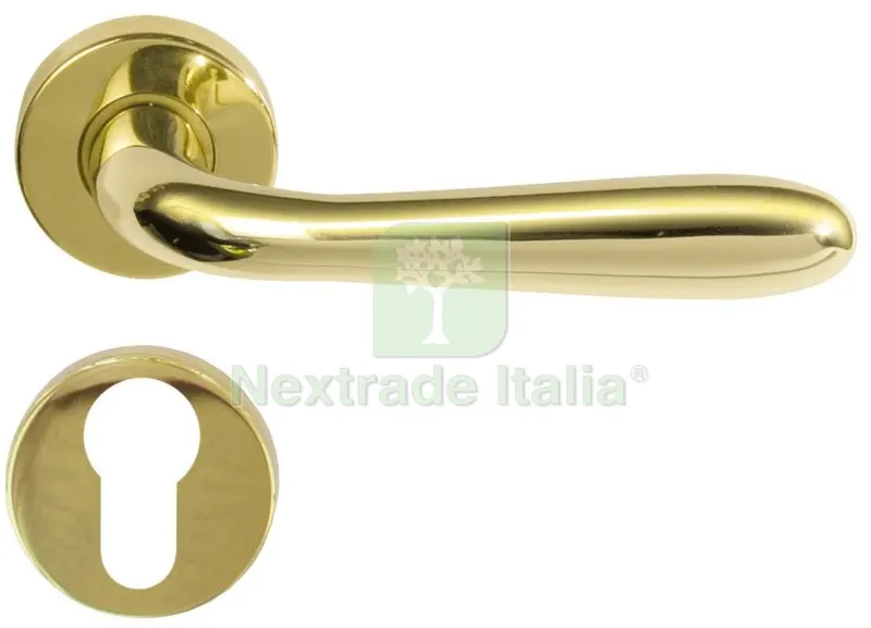 2PZ Maniglia Foro Yale con Rosetta Agnone Oro — Maniglie e pomelli — rif. FERX.98540 2PZ Maniglia Foro Yale con Rosetta Agnone Oro — Maniglie e pomelli — rif. FERX.98540