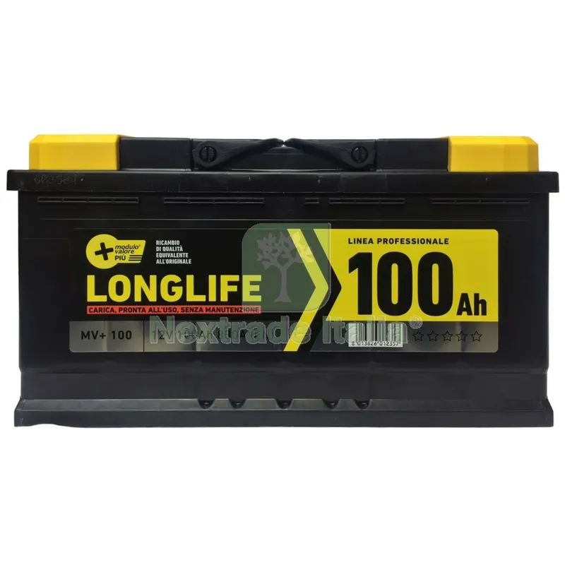 BATTERIA MV+100-810A — Pile e batterie — rif. FERX.99434