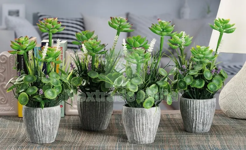 Piantine Grasse in Vaso COD.49020 — Vasi e fioriere — rif. FERX.99577