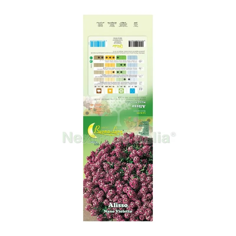10PZ SEMI GARDEN ALISSO VIOLETTO NANO — Protezione piante e sementi — rif. FERX.508084 10PZ SEMI GARDEN ALISSO VIOLETTO NANO — Protezione piante e sementi — rif. FERX.508084