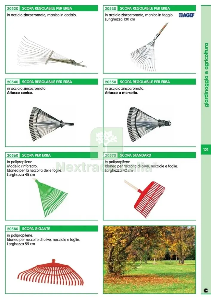 SCOPA REGOLABILE SENZA MANICO ATTACCO CONICO 20540 — Casalinghi e organizzazione — rif. FERX.17237 — foto 2 SCOPA REGOLABILE SENZA MANICO ATTACCO CONICO 20540 — Casalinghi e organizzazione — rif. FERX.17237 — foto 2