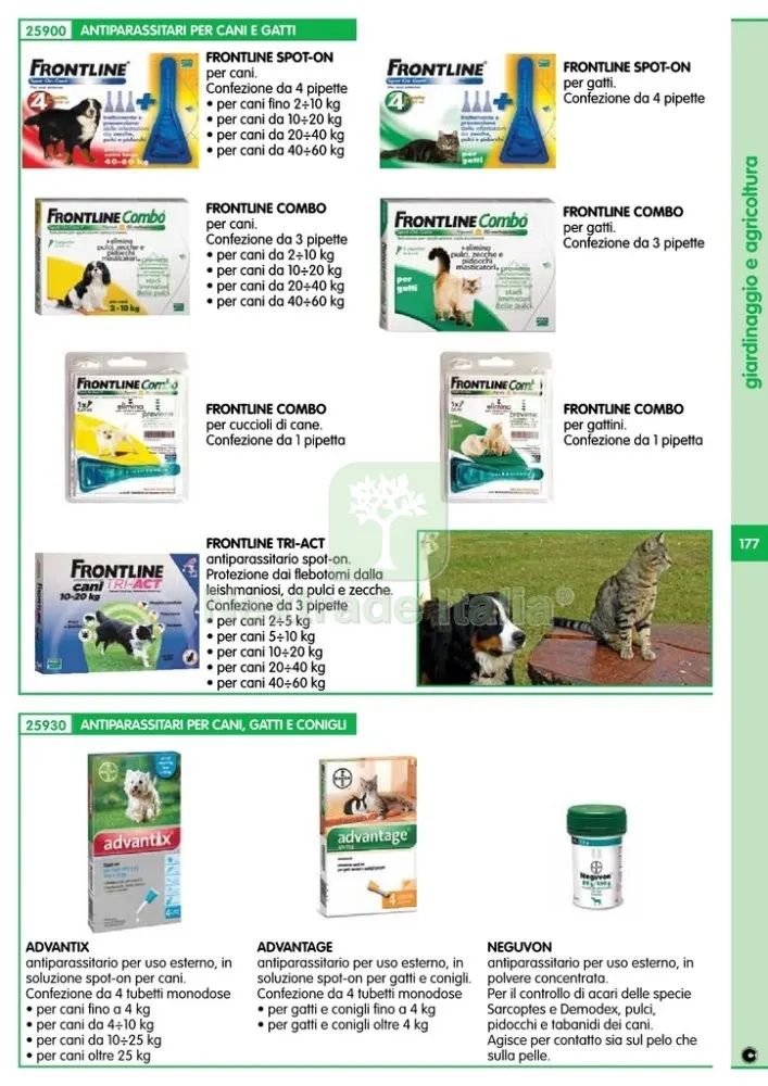 FRONTLINE COMBO KIT GATTINI (1) — Gatti — rif. FERX.74040 — foto 2 FRONTLINE COMBO KIT GATTINI (1) — Gatti — rif. FERX.74040 — foto 2