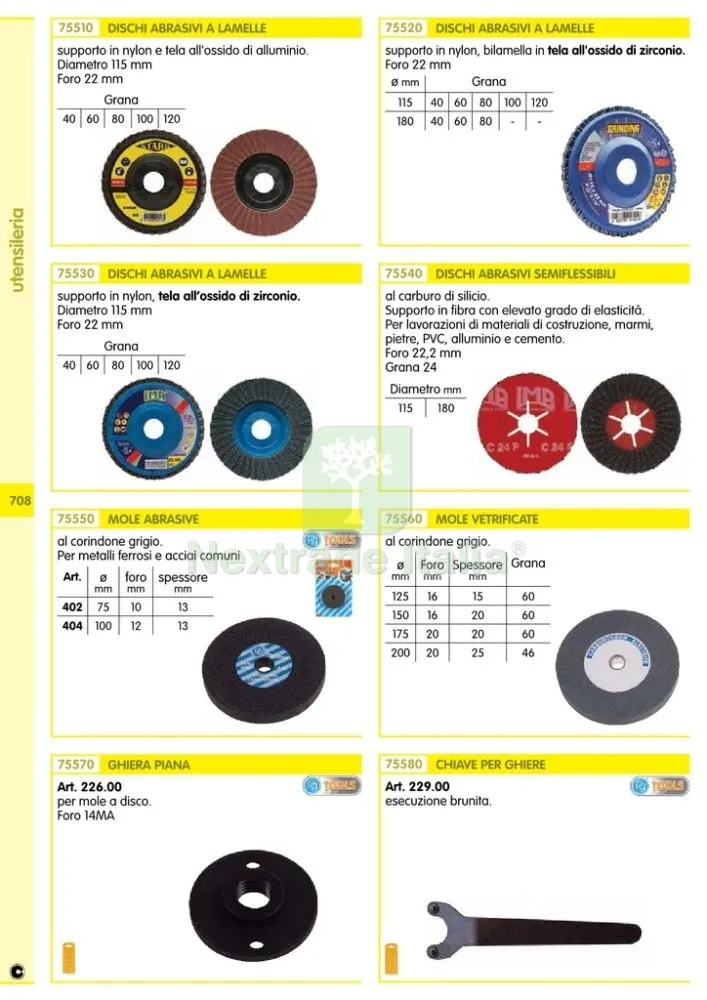 10PZ DISCO ABRASIVI A LAMELLE MM.115X22 GR. 60 — Abrasivi e mole — rif. FERX.55898 — foto 2 10PZ DISCO ABRASIVI A LAMELLE MM.115X22 GR. 60 — Abrasivi e mole — rif. FERX.55898 — foto 2